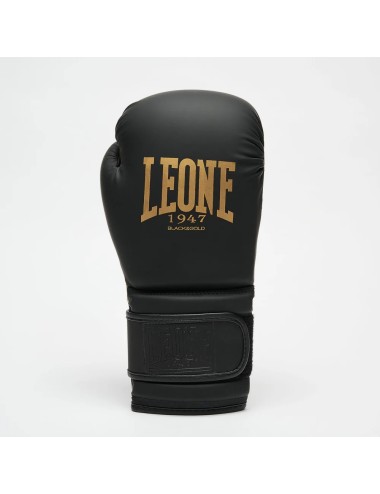 GUANTI BOXE IDOL