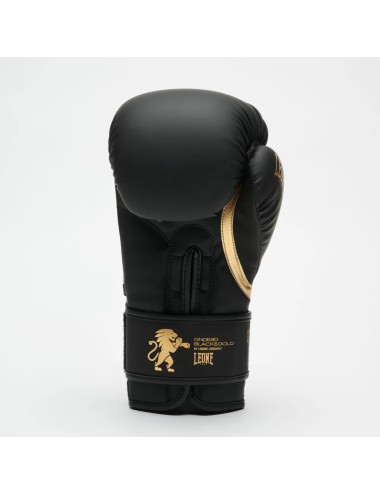 GUANTI BOXE IDOL